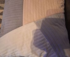 cushion covers