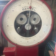 Berkel auto scale