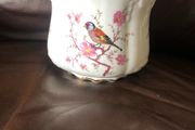 Brosnic bone china