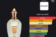 fragrances