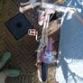 girls bicycle 16 inch Image 3