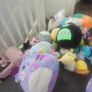 squishmallow teddies Image 2