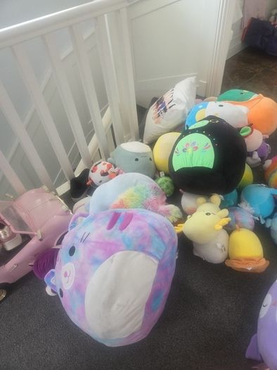 squishmallow teddies