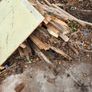 timber for burning mostly Image 3