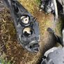 ford focus headlight Image 3