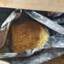Wood shavings Image 2
