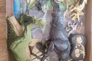 dinosaur graveyard