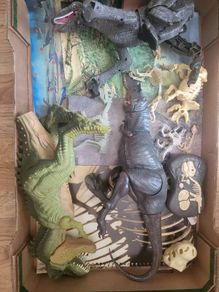dinasour graveyard