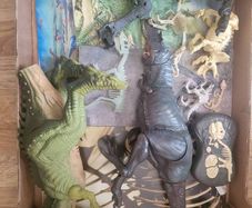 dinosaur graveyard
