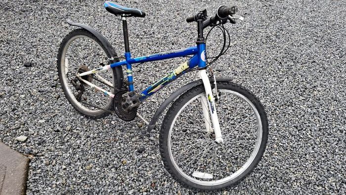 Imagine force 20inch bike