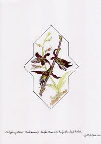 Print of Orchids in Arabic Design