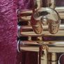 Yamaha Trumpet Image 6