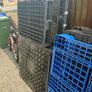 50 plastic pallets Image 10