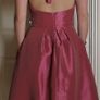 New Lazaro Dress Image 2