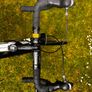 Giant Contend 2 (2017) Image 8
