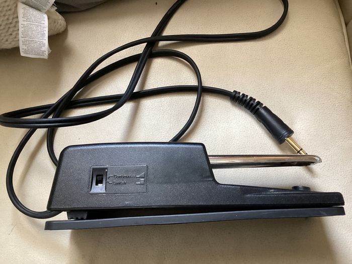 Roland F30e Digital piano and Roland DP - 10 Damper Foot Pedal in Excellent Condition.  (Barely used)
