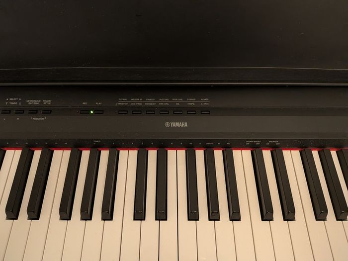Yamaha P115 digital piano
