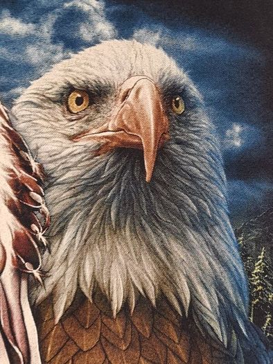 Vintage Wild T Shirt American Indian Eagle Horse Print Front And Back Size Medium