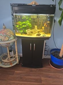 fish tank