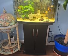 fish tank