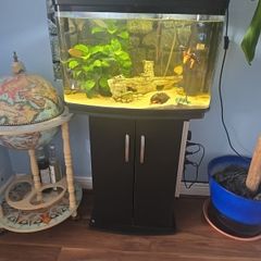 fish tank