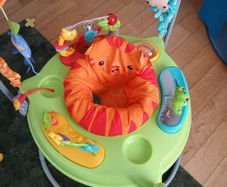 Fisher Price Roarin' Rainforest Jumperoo