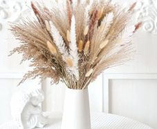 Fluffy Dried Flowers for Home Decor