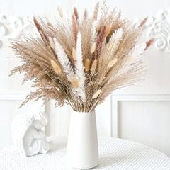 Fluffy Dried Flowers for Home Decor