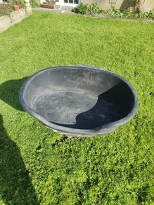 dog bed