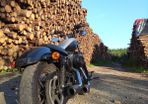 Harley Davidson Xl1200n 2009 Nightster.