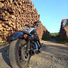 Harley Davidson Xl1200n 2009 Nightster.