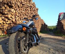 Harley Davidson Xl1200n 2009 Nightster.