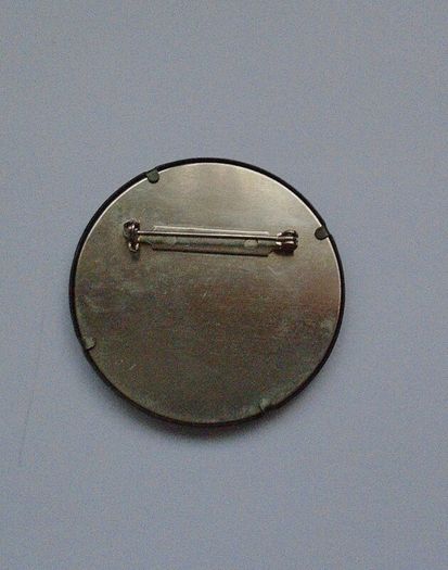 Brooch, Jewellery Enamel brooch,