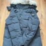 canada goose Image 3