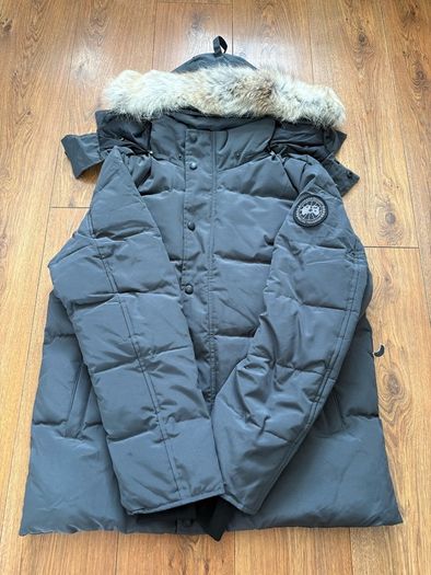 canada goose
