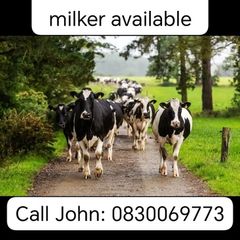 Experience relief farm milker