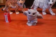 Owl figurine