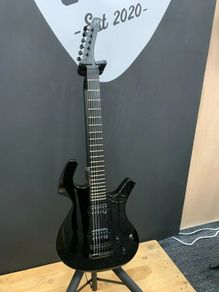 Guitar Parker P42