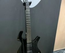 Guitar Parker P42