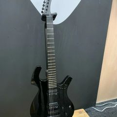 Guitar Parker P42
