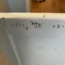 Free Cot /Toddler Bed Image 4