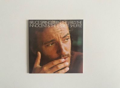 Bruce Springsteen Wild Innocent CD Digipak NM