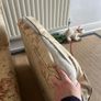 Free vintage sofa Image 3