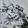 New short sleeves top. Image 6