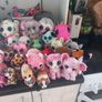 Huge TY Plushie Collection Image 5
