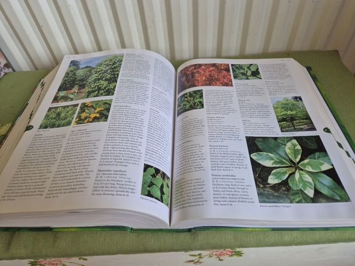 Flora The Gardener's Bible with CD