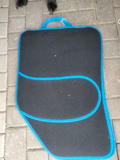 carmats