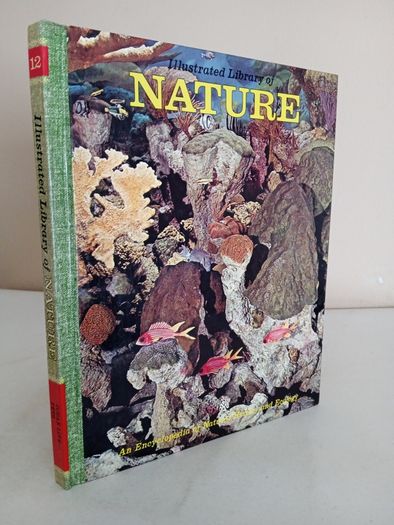 The Illustrated Library of Nature: A Pictorial Encyclopedia of Natural History and Ecology Published by H. S. Stuttman (14 Volumes)