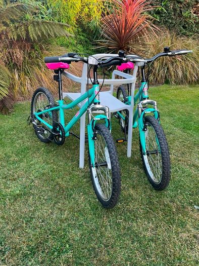 2 kids bikes