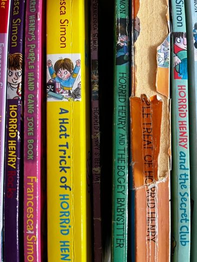 Horrid Henry bundle of 22 books